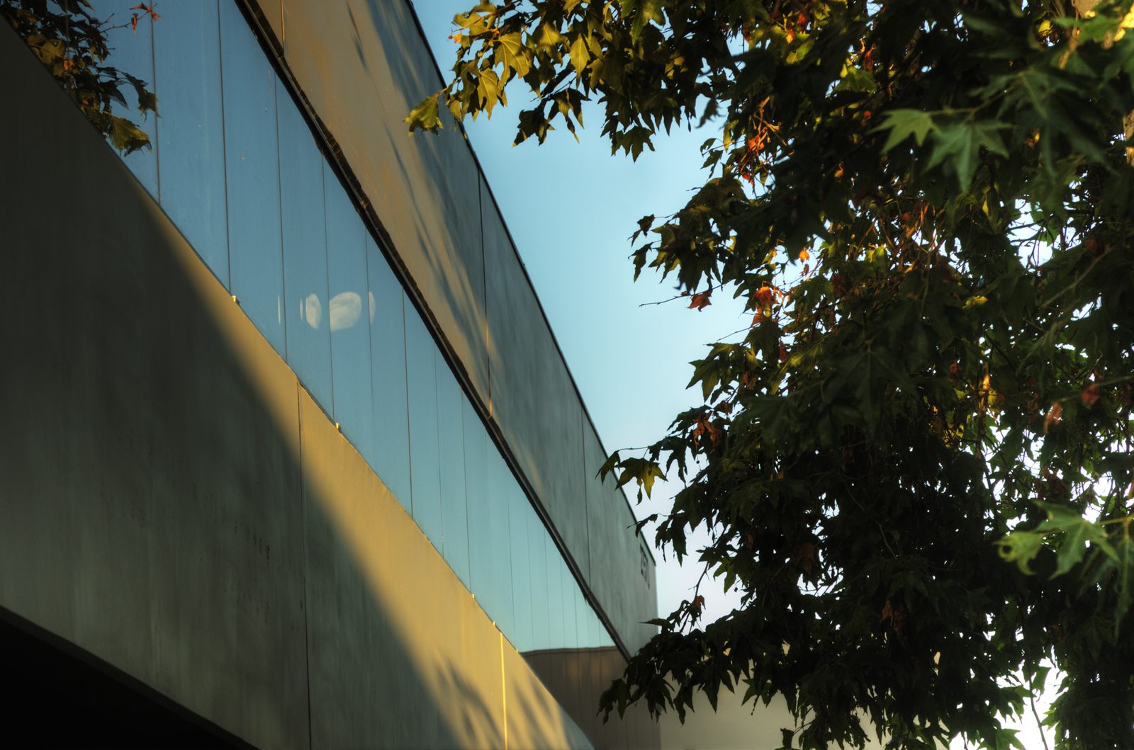 Facade and landscaping detail at Jefferson Court